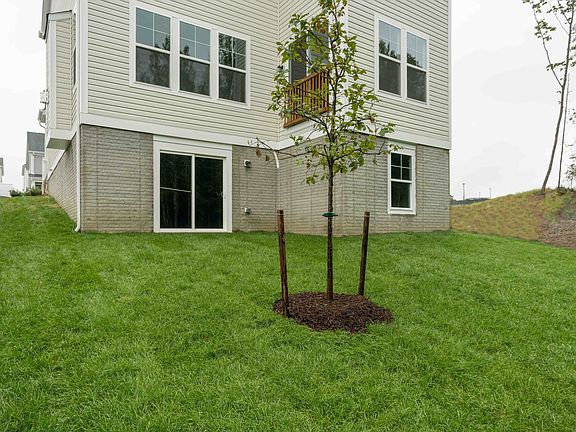 Backyard for outdoor fun