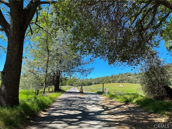 6652 Pappalardo Promenade, Murphys, CA 95247