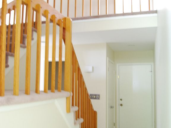 5th image of 1254 Stephanie Dr