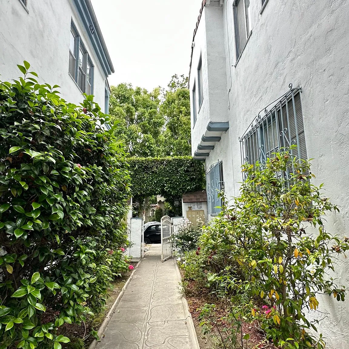 1 bed, 725 sqft, $2,395 — Photo 4