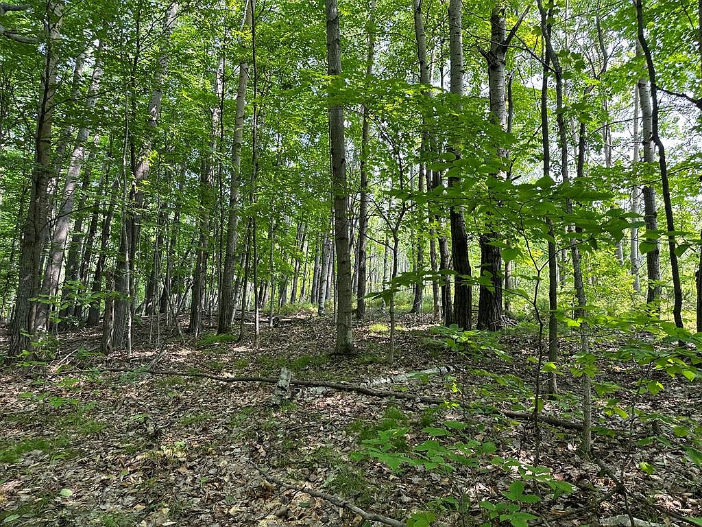 Birch Field Ln, Ellison Bay, WI 54210 Zillow