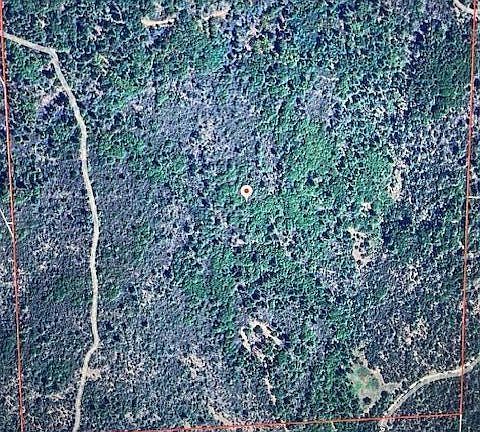 2nd image of Donkey Mine And Madison Rd