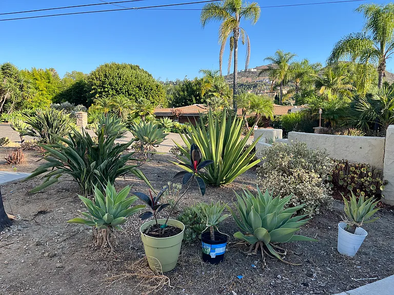 Front yard of the address!