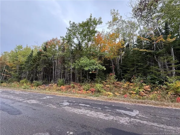 LOT Nickerson Point Rd, Wickham, NB E4C 6C2