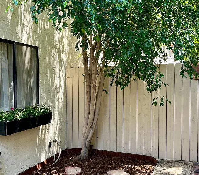 Backyard Patio