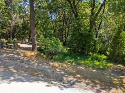 22483 Wildcat Ridge Rd, Sonora, CA, 95370