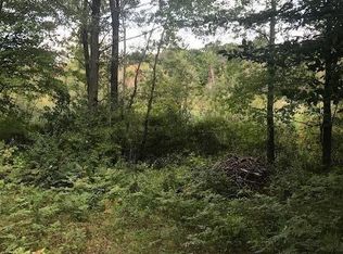 1825 N Johnson Rd, Trufant, MI 49347