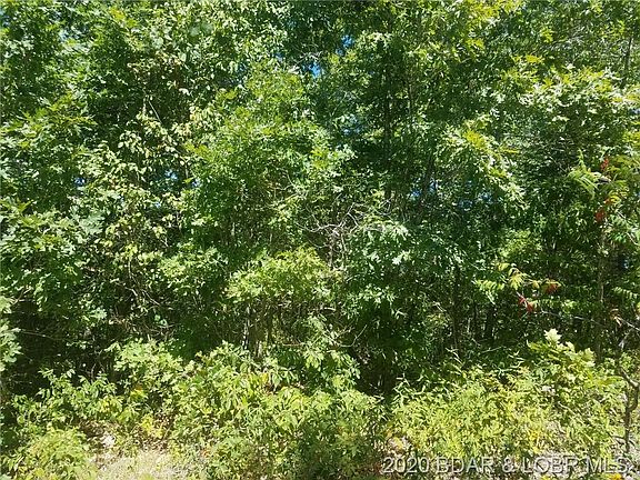 3rd image of 1403 Twin Oaks Dr