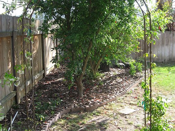 5th image of 11145 Madrigal St