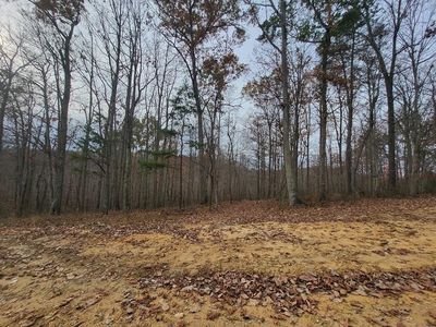 0 Neff Bratton Rd, South Webster, OH, 45682