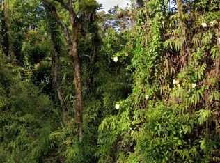 Pahoa Kalapana Rd LOT 6, Pahoa, HI 96778
