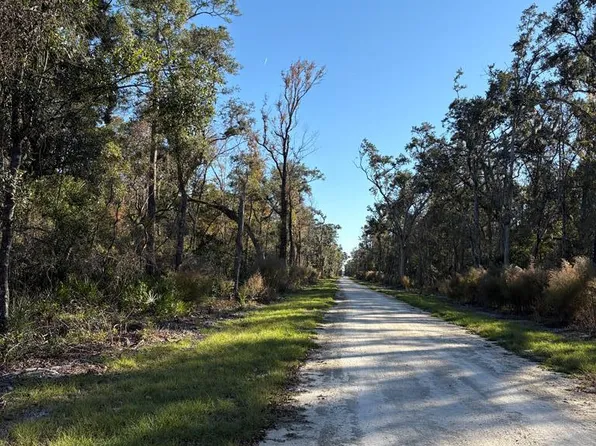 Lot #6 203rd Ave, Old Town, FL 32680