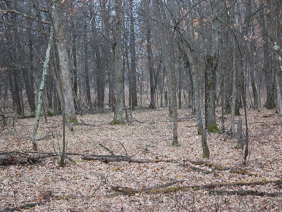 Oak Woods