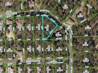 12145 Phoenix Ave, Weeki Wachee, FL 34614