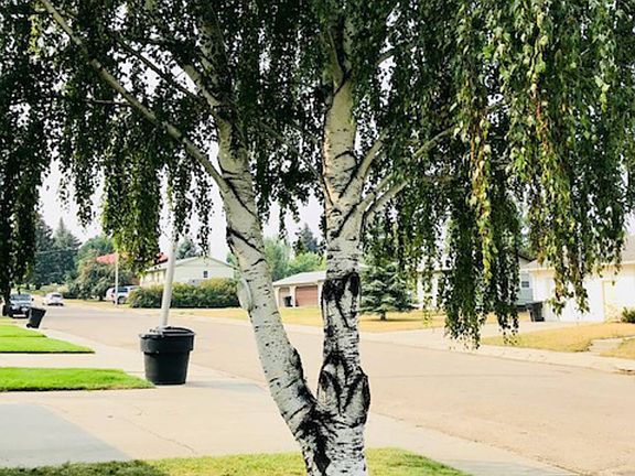 5th image of 111 Ruby Ave