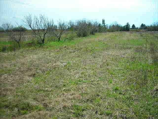 2nd image of 4489 County Road 514