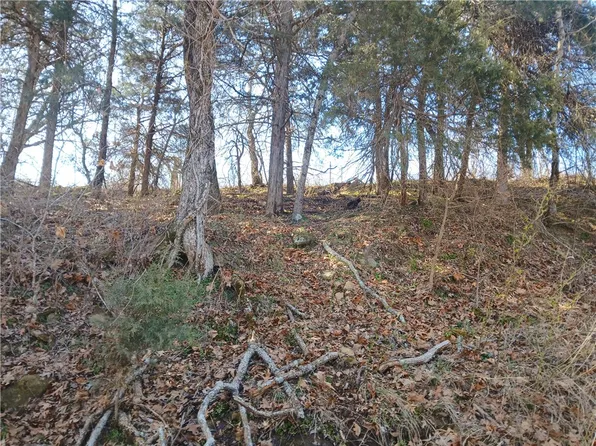 Madison St Lot 4-4-2149, Huntsville, AR 72740