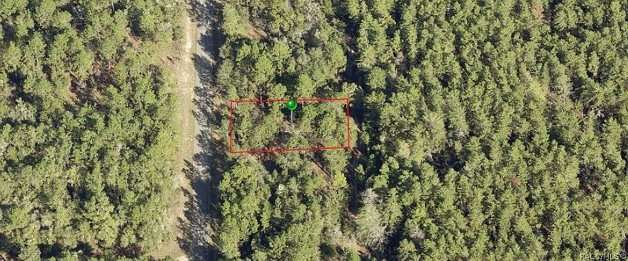 2nd image of 9549 N Lily Dr