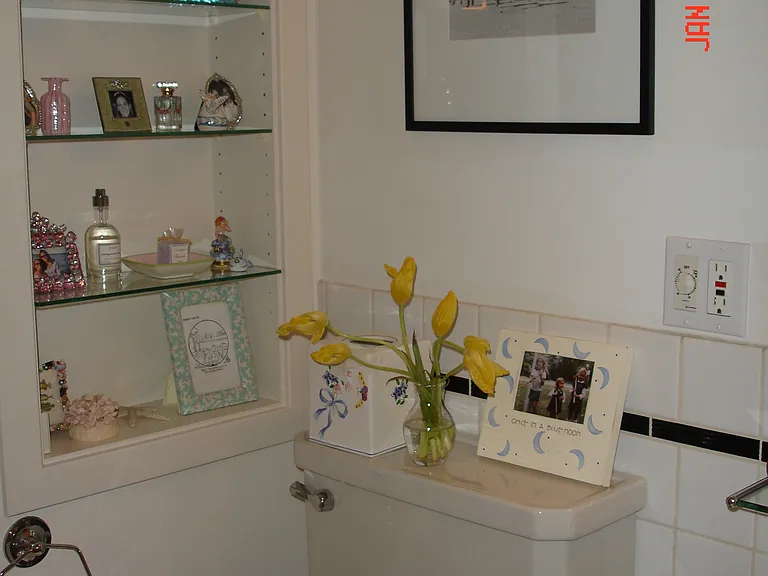 bathroom shelves