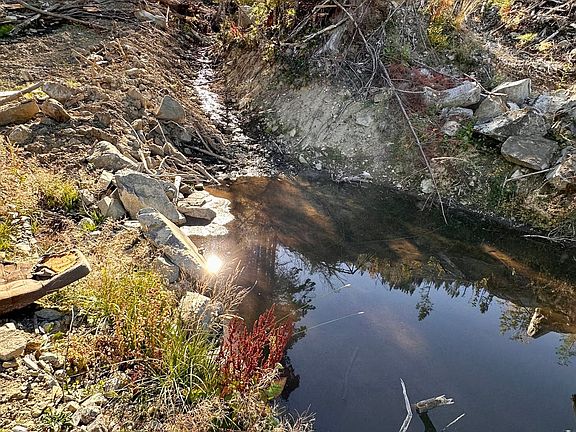 5th image of W Williams Creek Rd