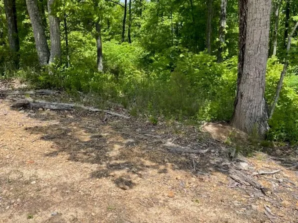 420 Strawberry Gables, Holladay, TN 38341