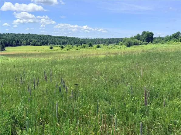L19 N Pond Rd Lot 19, Guilford, NY 13780