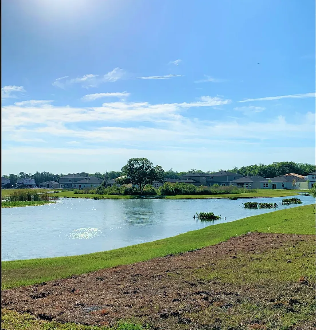 35754 Buttonweed Trail, Zephyrhills, FL 33541 — Photo 2