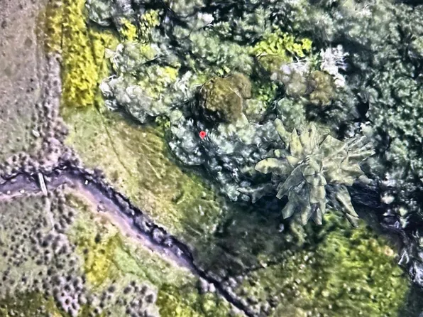 2783 N St, Eureka, CA 95501