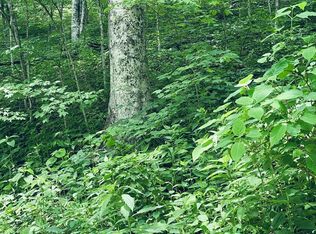 LOT 6 Greenspire Dr, Balsam, NC 28707