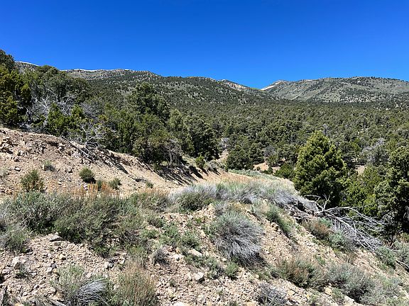 4th image of 10 E Ward Mountain Dr