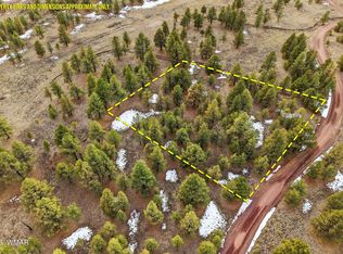 20 County Road 1332 N, Greer, AZ 85927