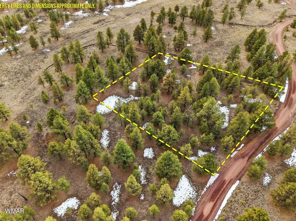 20 County Road 1332 N, Greer, AZ 85927