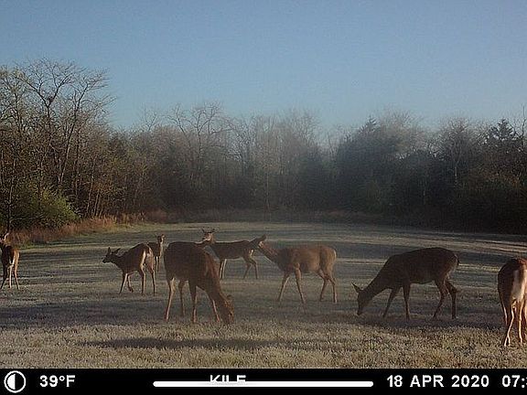 4th image of 2050 E Cedar Tree Ln