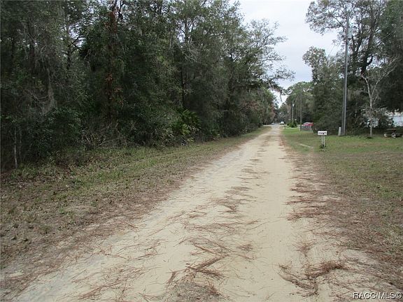 5th image of 8367 N Pine Needle Ter