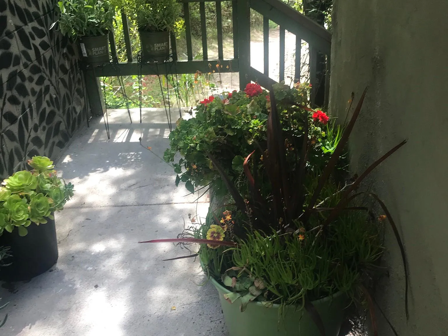 164 Dusty Dr — Photo 4