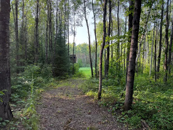 Xx County Road 1, Emily, MN 56447