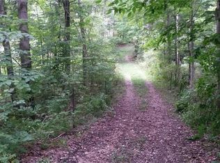 6729 Schwartz Rd, West Valley, NY 14171