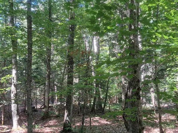 Cals Dr, Manistique, MI 49854