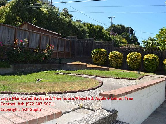 Huge Beautiful, manicured backyard, Apple + Lemon trees