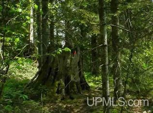 Dommer Creeks, Michigamme, MI 49861