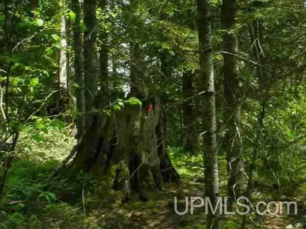 Dommer Creeks, Michigamme, MI 49861