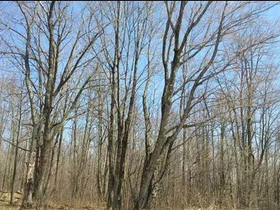 4th image of 235 Stowell Rd
