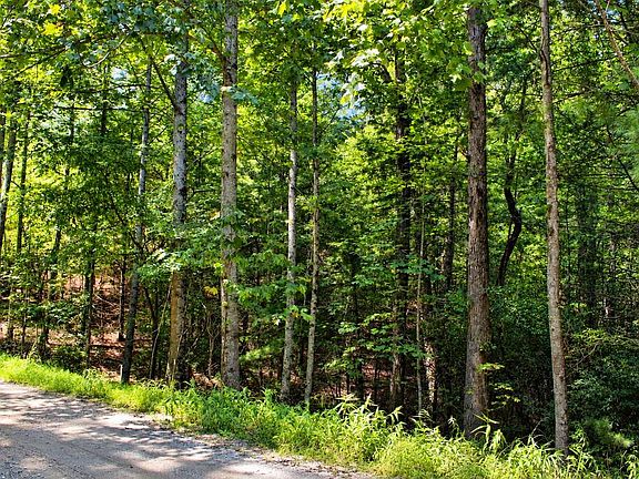 3rd image of LOT 18 Wilderness Ct