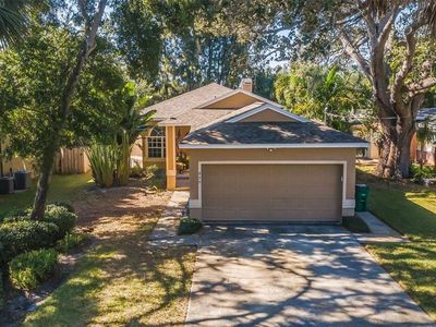 975 Harbor Hill Dr, Safety Harbor, FL, 34695