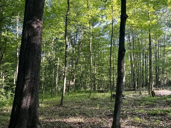 Conesus Sparta Townline Rd, Dansville, NY 14437