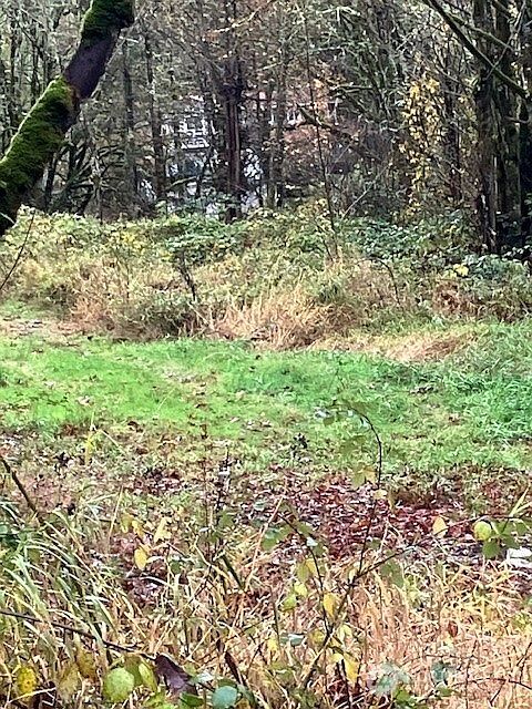 1st image of 29280 NE 189th Street