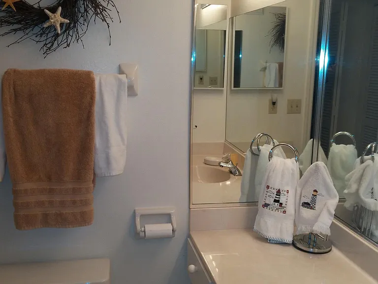 The master bath has a walk-in shower.