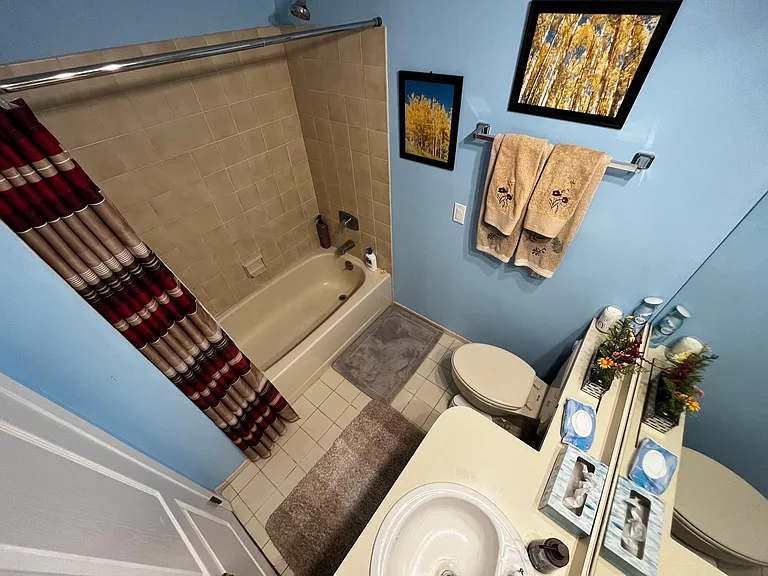 Guest / Common bathroom