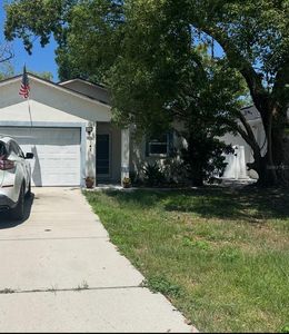 8414 N Newport Ave, Tampa, FL, 33604