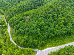 166 Webb Branch Rd, Crum, WV 25669